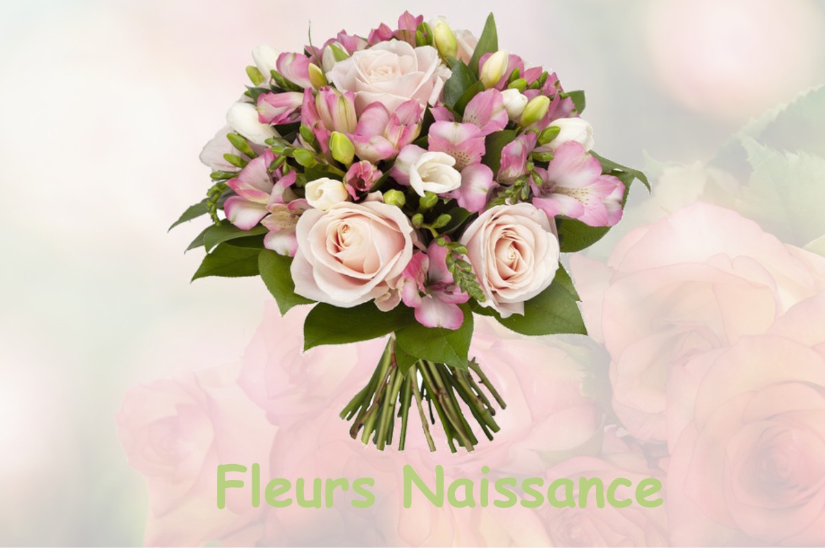 fleurs naissance CHATEAUVIEUX-LES-FOSSES