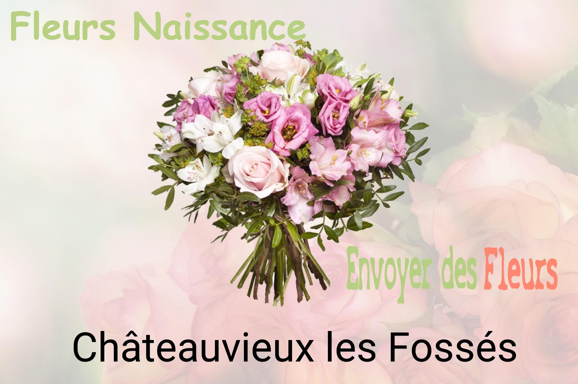 Bouquet de fleurs de naissance livré à Châteauvieux-les-Fossés