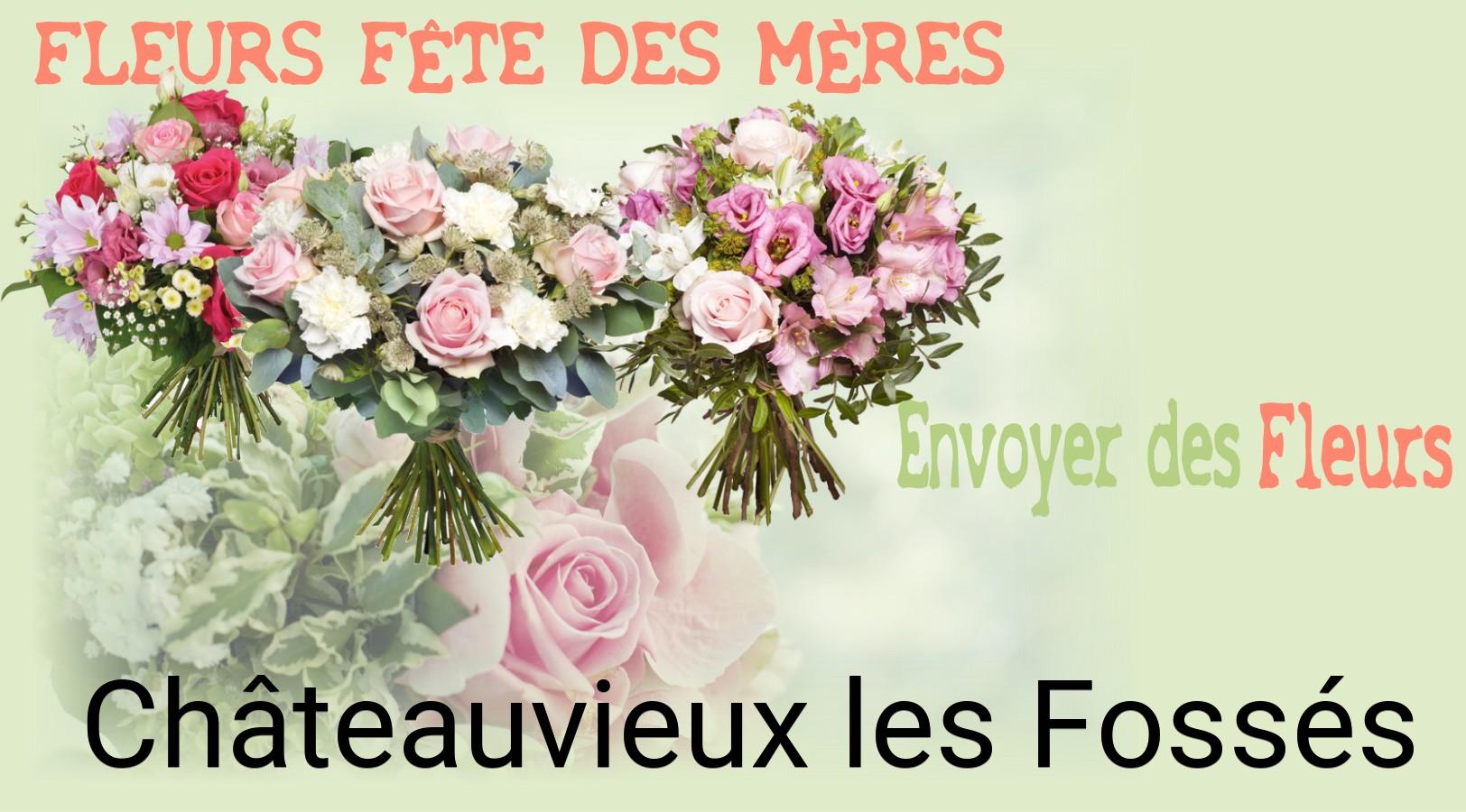 Bouquet de Fête des Mères livré à Châteauvieux-les-Fossés